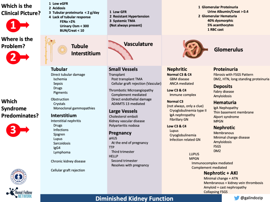 A Guide to Compartmentalize the Etiologies of Kidney Disease The