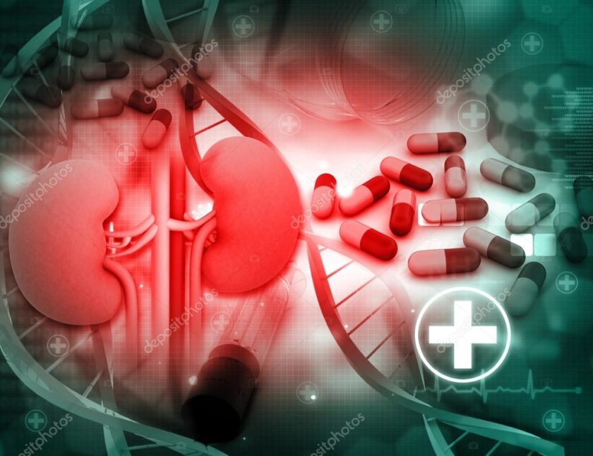 Lithium and the Kidneys What Every Nephrologist Should Know Renal